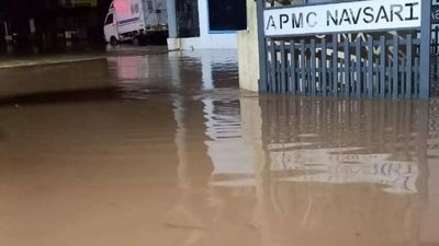6 dead as heavy showers continue in Gujarat; over 27,000 people evacuated, CM Bhupendra Patel visits rain-hit areas