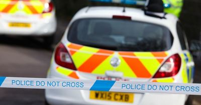 Police appeal for information after pedestrian killed in Cardross Road incident