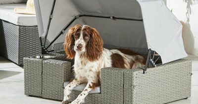 Aldi's latest Specialbuy is rattan sofa for dogs ideal for upcoming heatwave