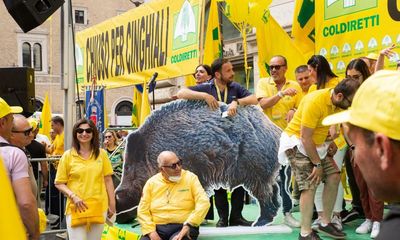 ‘I thought he was attracted by the pizza’: wild boar bites beachgoer in Genoa