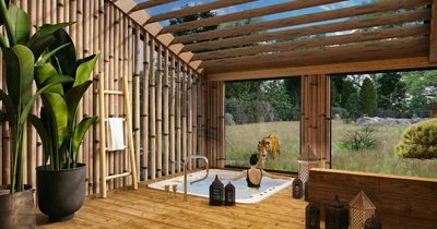 West Midlands Safari Park opens new holiday lodges next to tigers