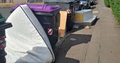 Edinburgh locals fume as feckless fly tippers turn their street into a dump