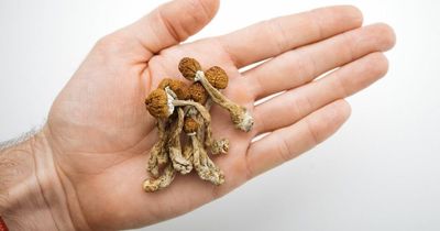 Psychedelic drugs side effects warning as Netflix doc How to Change Your Mind airs