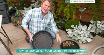 This Morning: Love Your Garden's David Domoney explains how to keep gardens green as heatwave takes hold