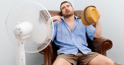 How much using an electric fan to keep cool on a night could cost you on your energy bills