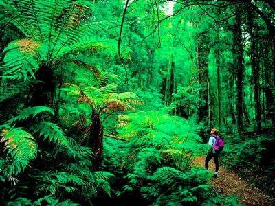 Park funding goes to tourists over habitat