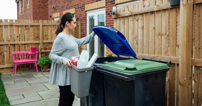 'Genius' hack to stop flies getting into your wheelie bin that costs as little as 44c