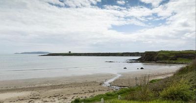 Do Not Swim notice for Dublin beach due to high bacteria levels