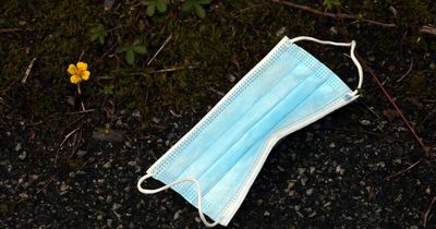 Should face masks be compulsory in public indoor places?