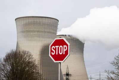 German official says nuclear would do little to solve gas issue