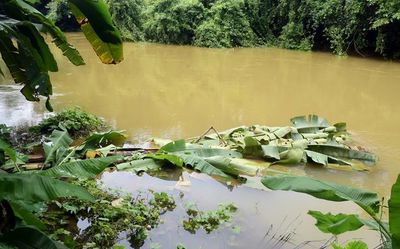 Fisherman goes missing in sea in Kozhikode