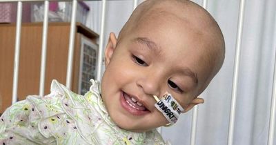 Desperate family tours UK to find life-saving donor for toddler battling cancer