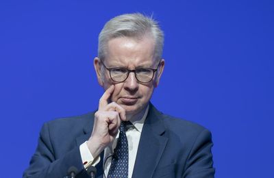 Michael Gove rejects No 10 ‘snake’ label after sacking by Johnson