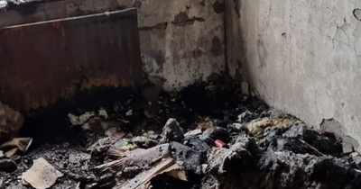 NI dad’s warning after family home destroyed in house fire started by phone charger