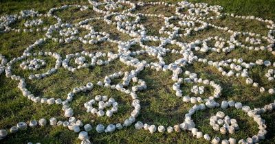 Irish families encouraged to share memories of loved ones lost to Covid-19 for Iveagh Gardens installation