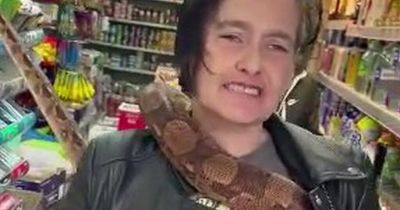 Petrified shopkeeper screams in terror as women's 6ft pet snake causes havoc