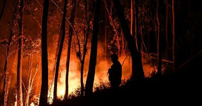 Portugal extreme heat warning to UK tourists amid increasing forest fires