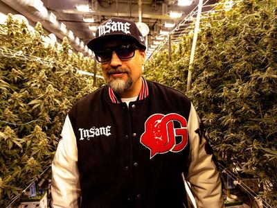 EXCLUSIVE: B-Real From Cypress Hill Talks About His Cannabis Brand Dr. Greenthumb's And Innovation In Cultural Industries