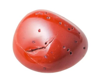 All about coral: The organic gemstone