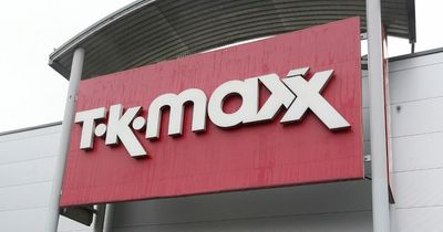 TK Maxx egg chair recalled due to 'risk of injury'