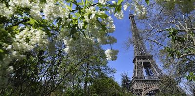 The living world above our heads: how city trees help shape biodiversity