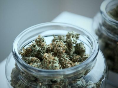 Cannabis Companies Nabis And The Parent Company Forge Exclusive Distribution Partnership