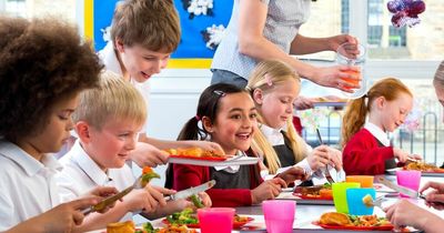 Tory peers vote down plea to extend free school meals to 1.3million extra poor kids