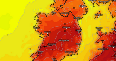 Ireland could be hit by 32C heat as expert warns 'advisory' could be on cards