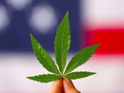 Reps. Perlmutter, Smith And Rogers Urge Marijuana Banking Be Added To National Defense Bill, Call Schumer An Obstacle