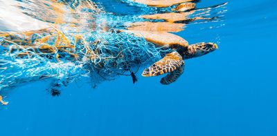 We have international laws to stop plastic pollution from fishing vessels now. Why are we not enforcing them?