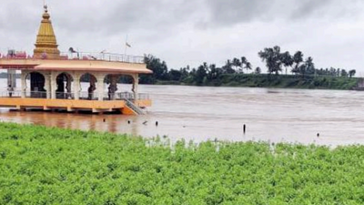 Karnataka: Ballari Nala swells, Basmati crop submerged