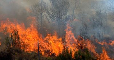 Irish tourists in Spain hit with urgent wildfire warning as temperatures soar to 44c