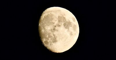 Buck Supermoon: When is it, how to see it and what is the moon illusion