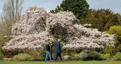 What is the highest UK temperature on record? Britain braced for heatwave