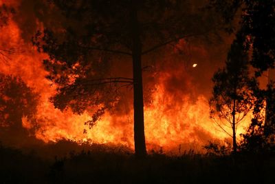 Wildfires rage across Europe as climate crisis blamed for soaring temperatures