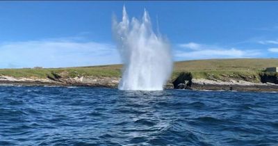 Torpedo destroyed on Scapa Flow seabed just metres from oil pipeline