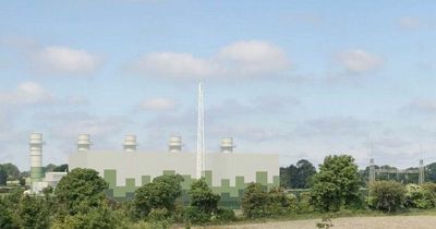 VPI gets behind new Irish power plant after rapid expansion in UK from Humber start-up