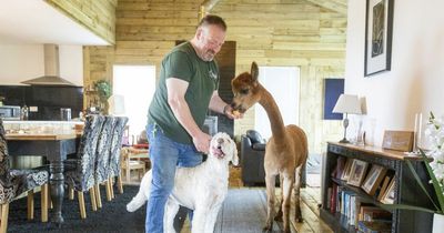 Alpaca who thinks she's a dog wants nothing to do with her own kind