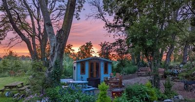 Shortlist for summer's biggest vote: Shed of the Year 2022