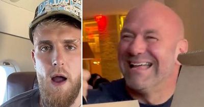 Jake Paul blasts “s***bag” Dana White for $250,000 gift to YouTuber pal
