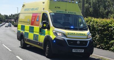 Health minister says 'no magical way of avoiding pressures' as ambulance service moves to highest alert level