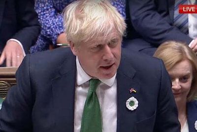 What are the badges Boris Johnson and MPs wore today on their lapels during PMQs?