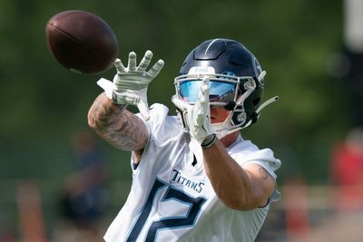 Titans who are on the roster bubble going into training camp