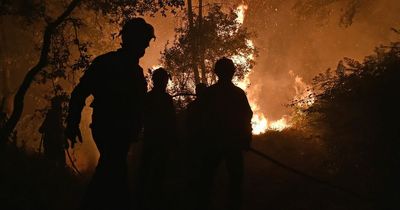 Holidaymakers forced to flee wildfires as 'hell' 45C heatwave surges through Europe