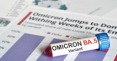 Health experts warn of high reinfection rates in Covid omicron BA.4 and BA.5 variants