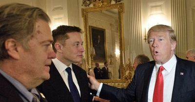 Donald Trump boasts he could have made Elon Musk 'drop to his knees and beg for help'