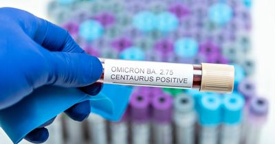 Centaurus: Concerns grow after massive rise in Covid-19 variant cases