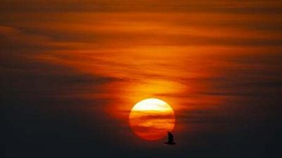 The Leader podcast: UK heatwave level 3 risks and why is it getting hotter?