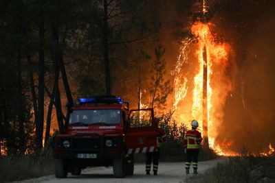 Scorching heat wave sparks wildfires in Europe