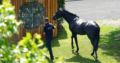 UK heatwave monitored by horse racing chiefs with temperatures expected to reach 35C